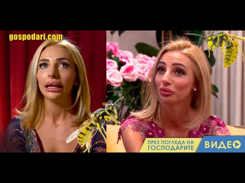 Видео: ПОРАЗЯВАЩАТА УСТА НА "ЕРГЕНЪТ" ЖИЛИ НАРЕД