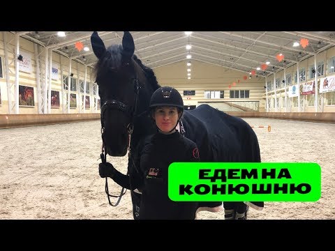 Видео: Едем на конюшню на Новой Риге / Ната Кони