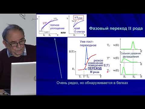 Видео: Финкельштейн А.В. - Физика белка - 7. Переходы: термодинамика. Диффузия: кинетика