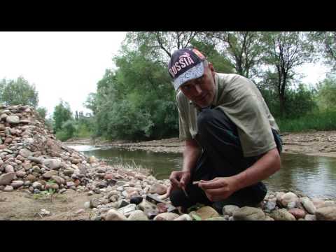 Видео: 28 Признаки золото возле речки 3