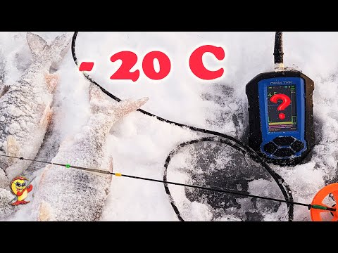 Видео: Практик 8. Первый тест в -20 С. Плотва на безмотылку.
