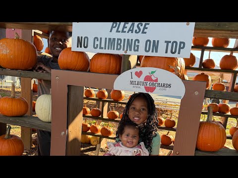 Видео: Суббота… Милберн-Орчардс… Время Бабби