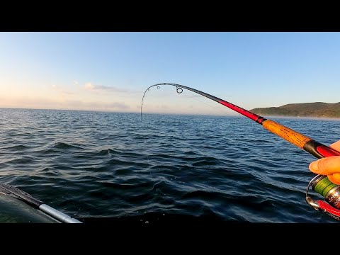 Видео: МОРСКАЯ РЫБАЛКА с лодки на СКУМБРИЮ. УЛОВИСТАЯ снасть на СКУМБРИЮ