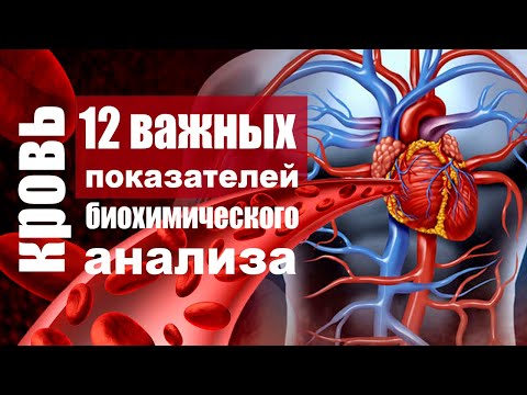 Видео: Биохимический анализ крови - расшифровка показателей, которые должны знать все