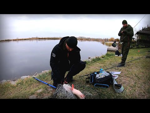 Видео: Клюють Риби як держаки від лопати !!!