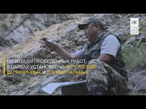 Видео: Лесоустройство "Алатай" и "Кан-Ачуу"