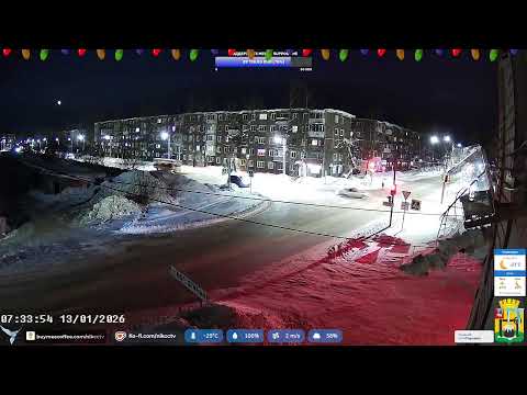 Видео: Камера Соликамск (Боровск), Россия, Пермский край / Сamera Solikamsk, Russia, feeder and AI Chatbot