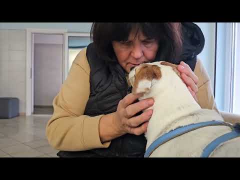 Видео: Везём Долю на анализ крови.