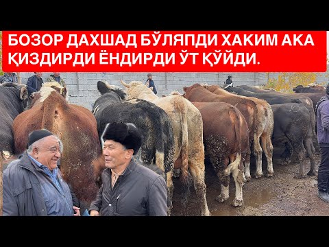 Видео: ЁР СИТИ СЕМИЗ БУҚАЛАР НАРХЛАРИ ХОЛАТ ЯХШИ СЕМИЗЛАРДА ХАКИМ АКА МОЛ ОЛОЛМАЙ…