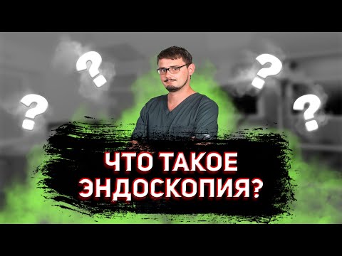 Видео: Эндоскопия - подробный обзор темы | Ветеринар эндоскопист