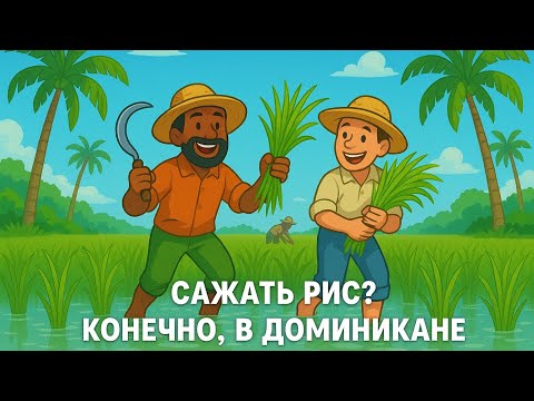 Видео: Доминикана / Собираем Мега турбину
