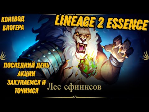 Видео: Последний день акции Лес Сфинксов в  Lineage 2 Essencе!!