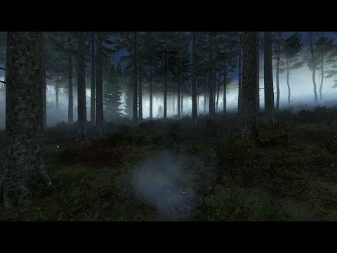 Видео: Dayz - ночной стрим