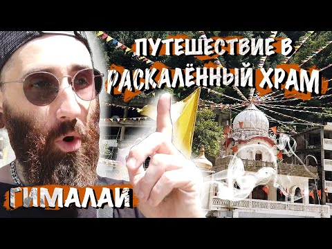 Видео: Индия. Гималаи. Горной тропкой идём в раскалённый храм. Стоимость еды и жилья в Гималаях.