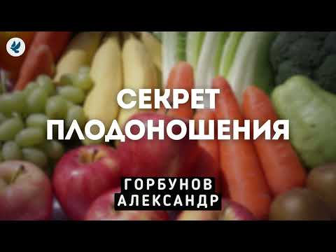 Видео: Секрет плодоношения. Горбунов А.И. Проповедь МСЦ ЕХБ