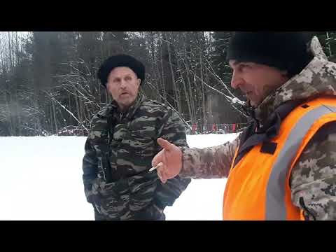 Видео: охота на волков 2 добор👍