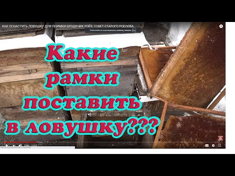 Видео: КАК ОСНАСТИТЬ ЛОВУШКУ ДЛЯ ПОИМКИ БРОДЯЧИХ РОЁВ, СОВЕТ СТАРОГО РОЕЛОВА