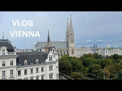 Видео: VLOG | Учебные будни в Вене, получила ВНЖ