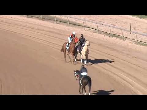 Видео: R4-FINGER LAKES (США)