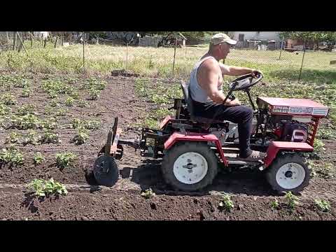 Видео: 13 июля 2023 г.