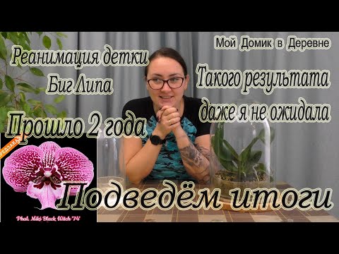 Видео: Супер результат РЕАНИМАШКА Биг Липа СПУСТЯ 2 ГОДА / Подводим итоги эксперимента / Наращивание корней
