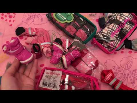 Видео: Одежда для йоркширского терьера // Вся одежда Бони