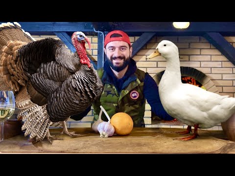 Видео: ИНДЕЙКА в КАМИНЕ  vs  УТКА в ПЕЧИ.