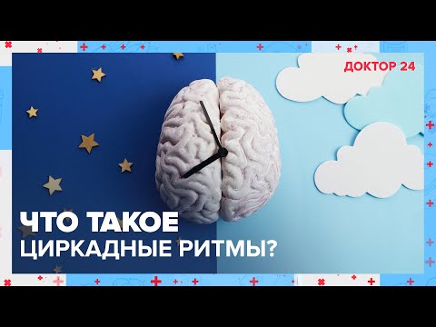 Видео: Что такое ЦИРКАДНЫЕ РИТМЫ? ТЕМЫ НЕДЕЛИ | Доктор 24