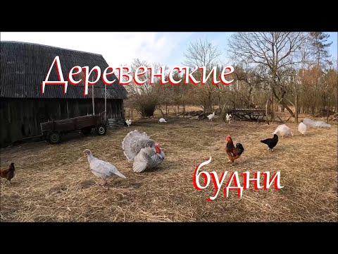 Видео: Мое любимое время года. Весна на Лесном Хуторе.
