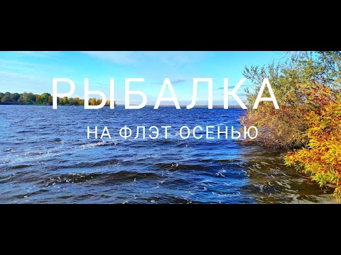 Видео: ОСЕННЯЯ ЛОВЛЯ НА ФЛЭТ. РЫБАЛКА С НОЧЕВКОЙ НА ДНЕПРЕ.