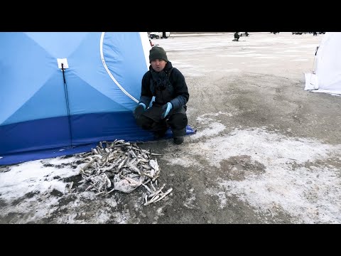 Видео: ПОПАЛ НА РАЗДАЧУ! Зимняя рыбалка в Приморском крае.