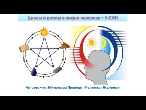 Видео: Промовебинар семинара "У-СИН. Циклы и ритмы в жизни человека"