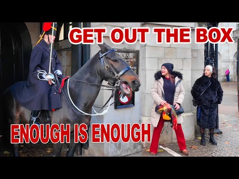 Видео: LTC 23 НОЯБРЯ