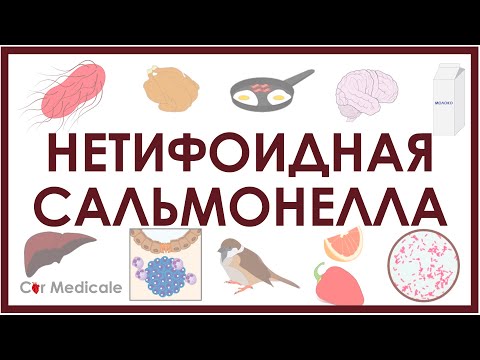 Видео: Нетифоидная сальмонелла - микробиология, патогенез, симптомы, лечение