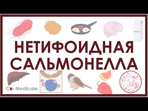 Видео: Нетифоидная сальмонелла - микробиология, патогенез, симптомы, лечение