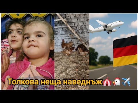 Видео: Неочаквана седмица: цирк, кокошки и път към Германия! 😄✈️🎪🐔