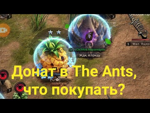 Видео: Что покупать в игре?
