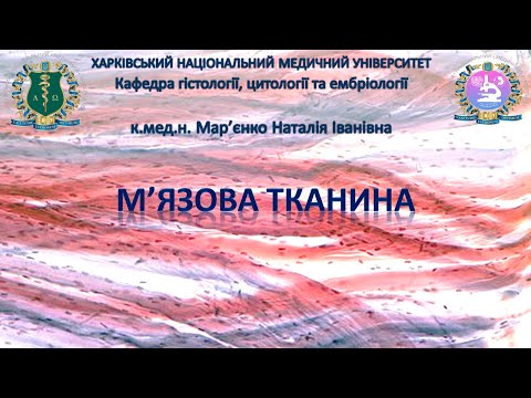 Видео: М'язова тканина. Гістологія