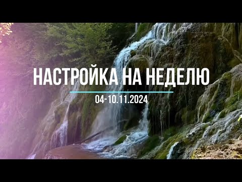 Видео: Настройка на неделю 4-10.11.2024