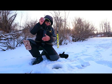 Видео: В этом РУЧЬЕ рыба ЗАГИБАЕТ КИВКИ и ГНЁТ УДОЧКИ в ДУГУ | ЩУКА СОЖРАЛА БАЛАНСИР