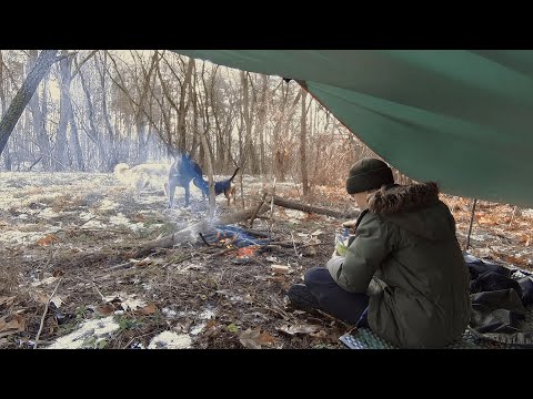 Видео: бушкрафт хожу в лесу варю еду