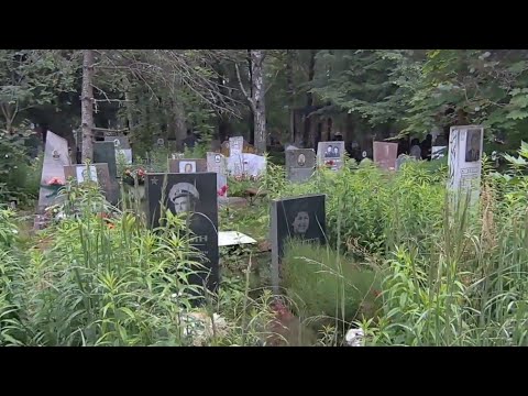 Видео: Смиренное кладбище 🕯🕯🕯БУдут ещё серии с этой локации- более подробные