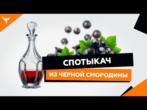 Видео: рДЖ 15: Спотыкач из черной смородины - простой, доступный и  очень вкусный рецепт