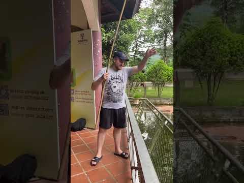 Видео: Поймал крокодила на удочку 😀