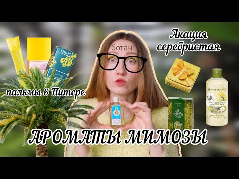 Видео: АРОМАТЫ С НОТОЙ МИМОЗЫ ДО 500Р! 🌼 @Oshi01
