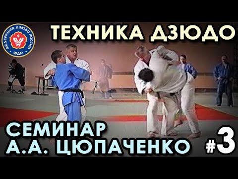 Видео: МЯГКАЯ техника Дзюдо – 3: семинар А.А. Цюпаченко.