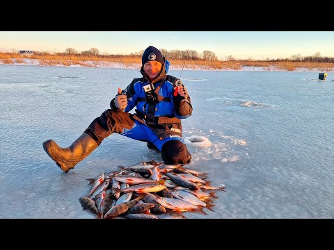 Видео: Свершилось! Первый лёд 2024- 2025! Давно так не отрывался по безмотылке!