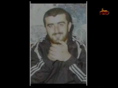 Видео: собо