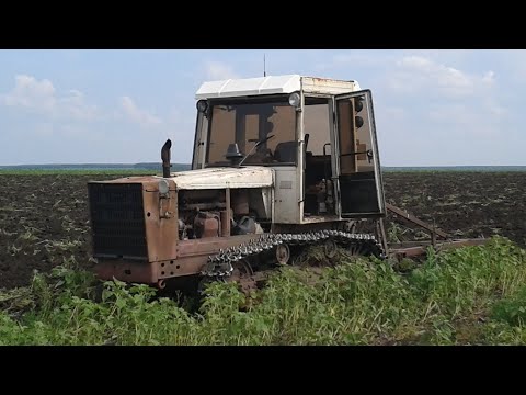 Видео: Вспашка паров гусеничными тракторами Т-4А.01 и Т-404