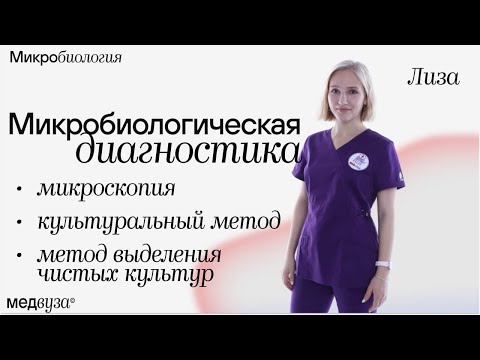 Видео: Микробиологическая диагностика: микроскопия, культуральный метод, методы выделения чистых культур